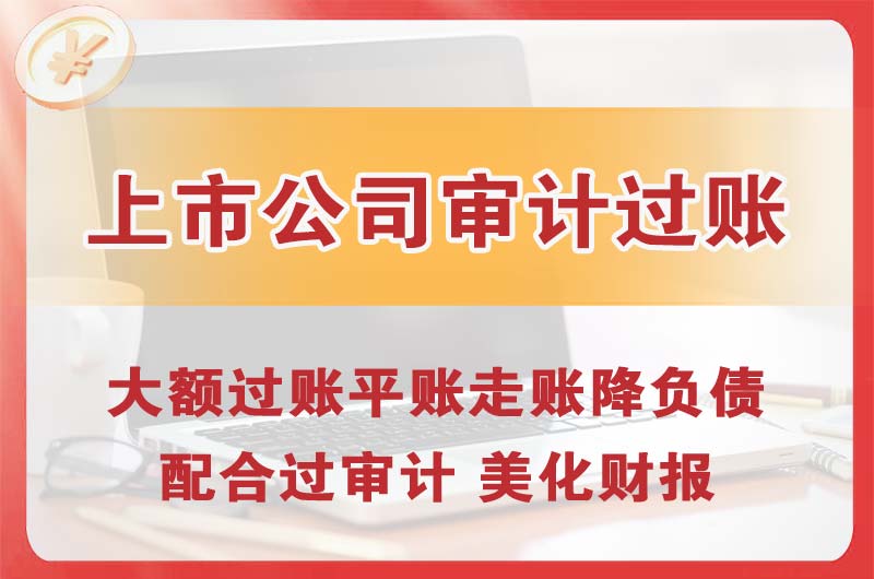 榆树上市公司审计过账